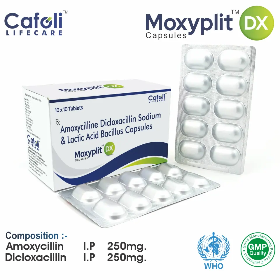 Amoxycillin 250 mg + Dicloxacillin 250 mg Capsule PCD Pharma Franchise